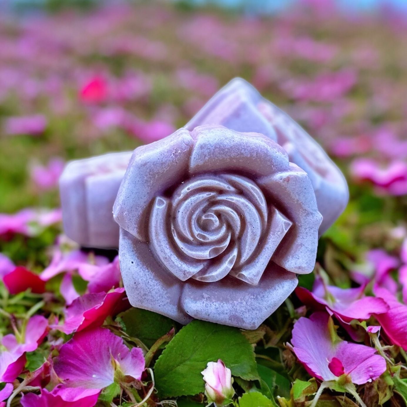 NEARLY WILD ROSE SOLESEIFE SOAP