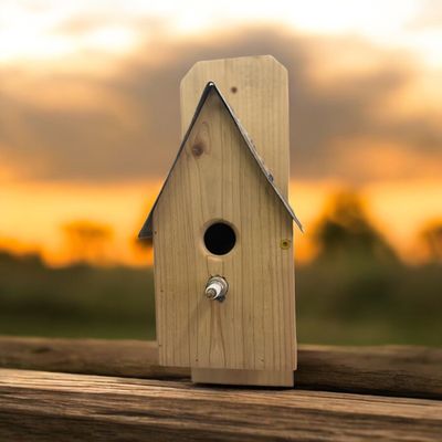 LOCAL HANDMADE WOOD LICENSE PLATE BIRD HOUSE