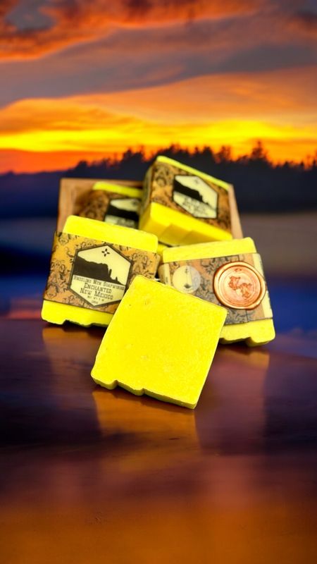 Land of Enchantment Soap Set