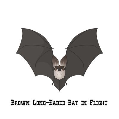 Rinart Original Artwork Stickers