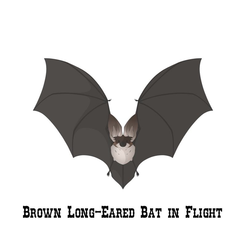 Rinart Original Artwork Stickers