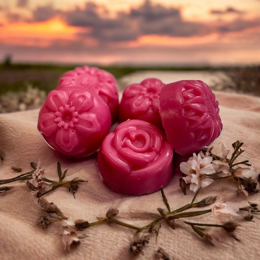 Carla's Ohana Wax Tarts