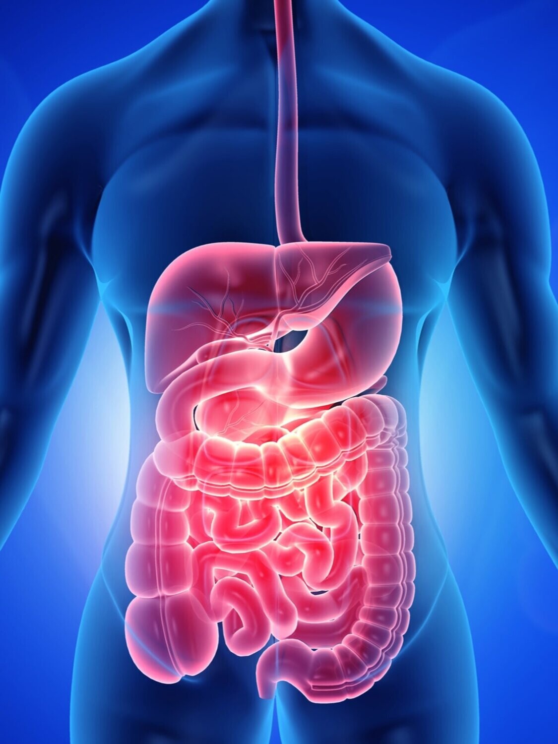 The Gut Punch