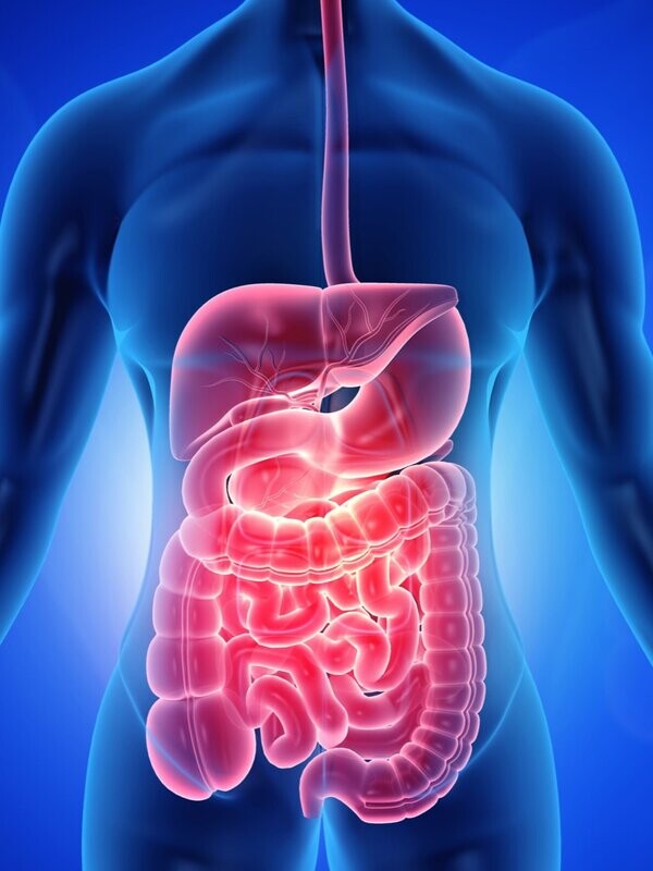 The Gut Punch