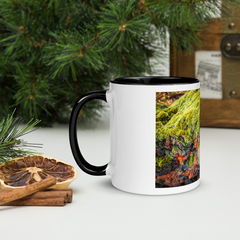 Macro Moss Mug