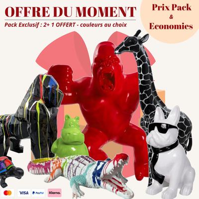 Pack Statue en resine