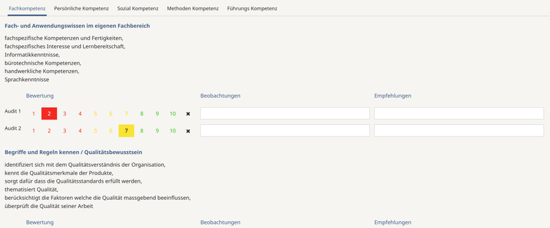 Kompetenzen-Tool für die berufliche Entwicklung (pdf-Datei)
