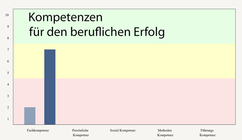 Kompetenzen-Tool für die berufliche Entwicklung (pdf-Datei)