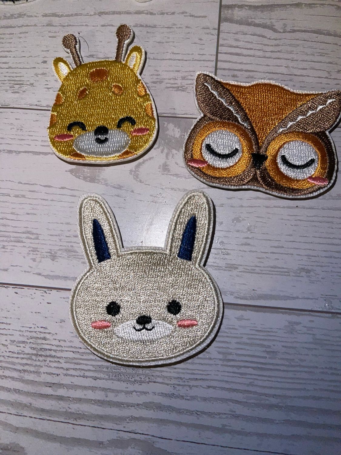 Animal Magnets Set Of 3