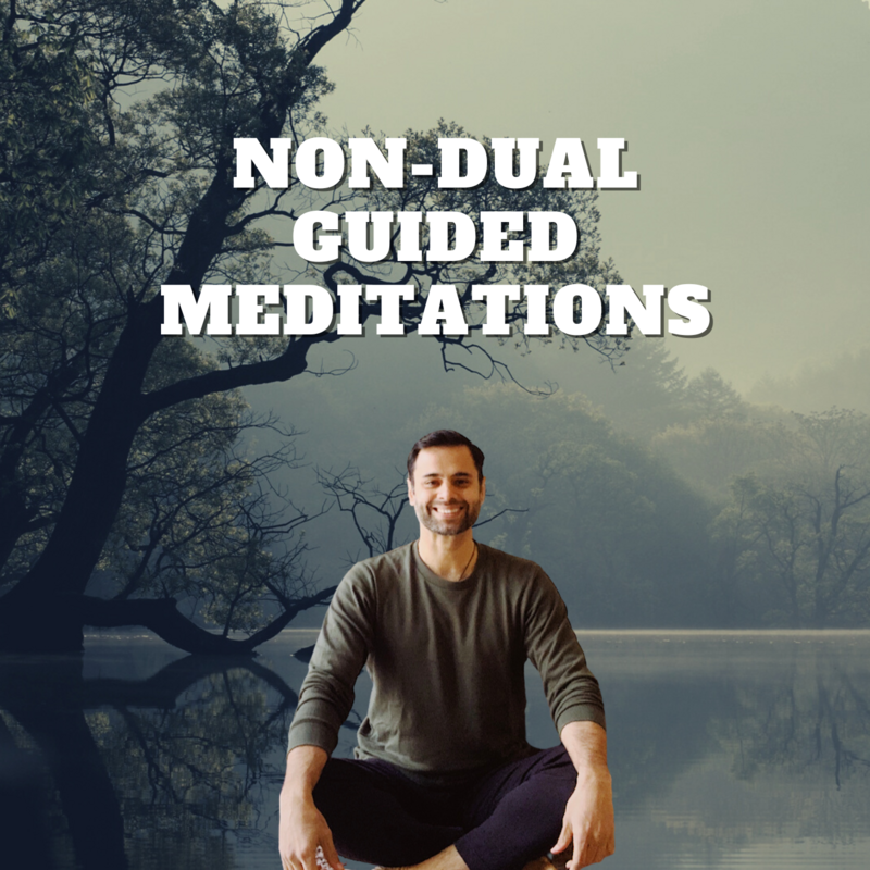 NON-DUALITY GUIDED MEDITATIONS VIDEO NON-DUALITY GUIDED MEDITATIONS VIDEO