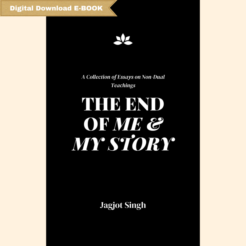THE END OF THE END OF