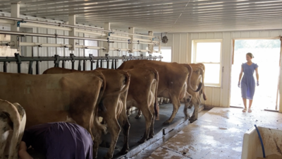 Grassfed Raw Dairy (A2A2)