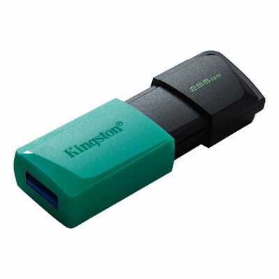 Kingston usb memoria exodia USB 3.2 Menta con negro-DTXM256GB