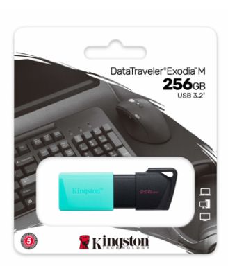 Kingston memoria exodia menta con negro 256GB usb 3.2 DTXM