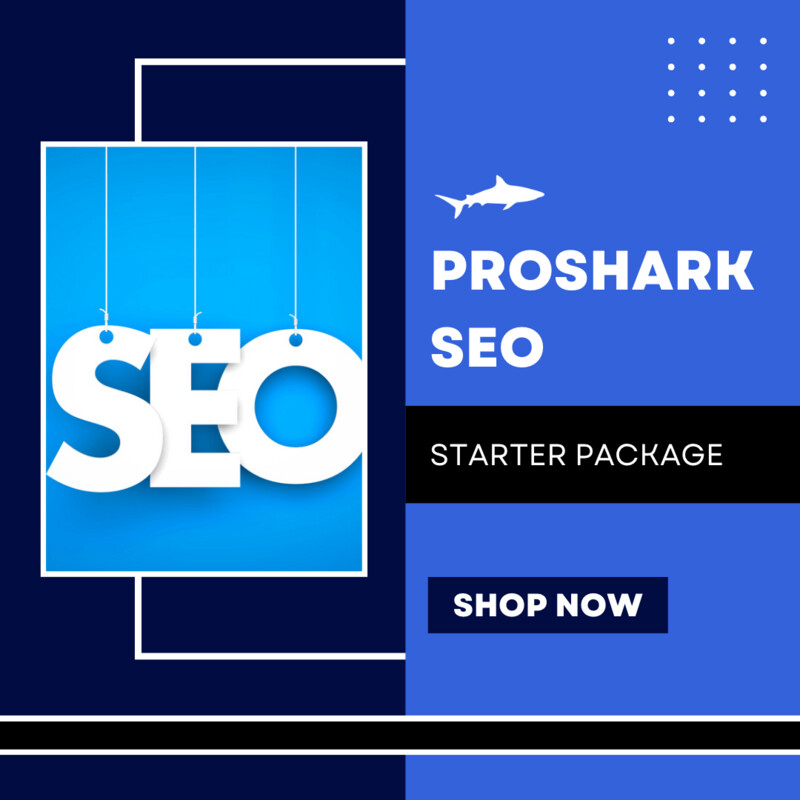 Starter SEO