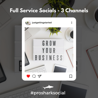 Done For You Social Media Management - 3 Channels