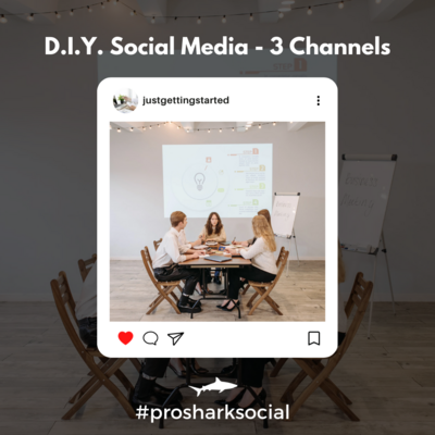 Do-It-Yourself Social Media Management - 3 Channels