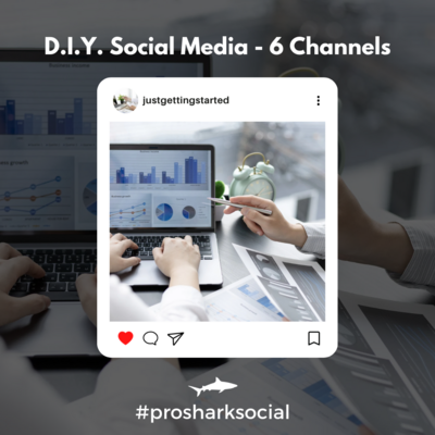 Do-It-Yourself Social Media Management - 6 Channels