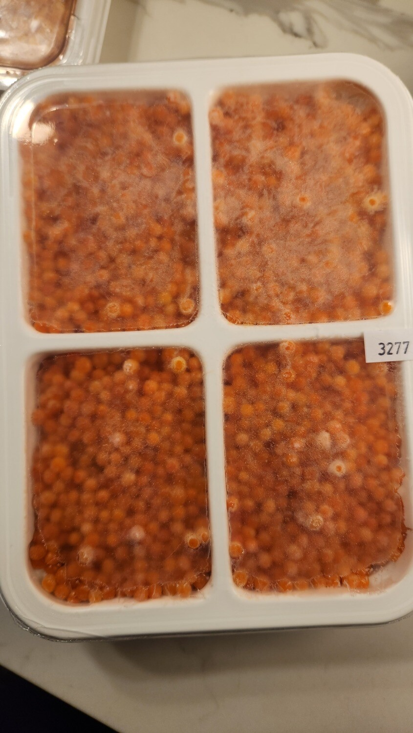 Caviar (red): KING/Spring Salmon Caviar (chavycha) 1kg : 2025 CATCH