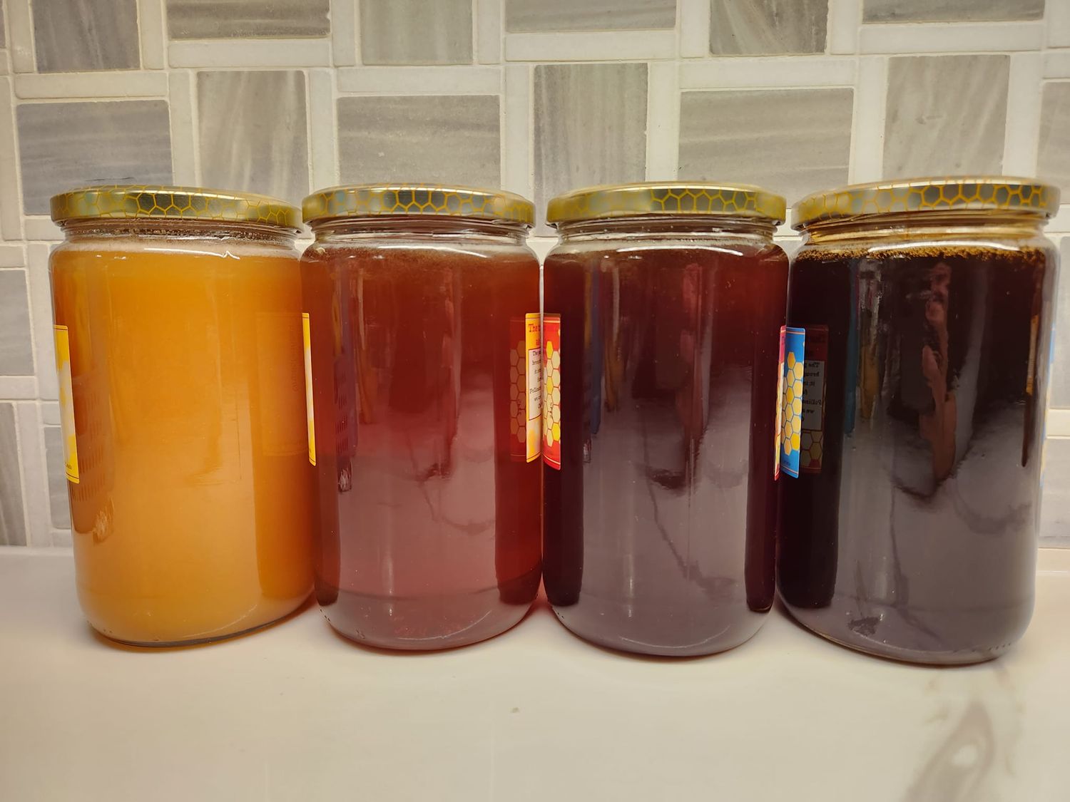 Honey 1kg (fresh, unpasteurized): wildflower, blueberry, raw, creamed