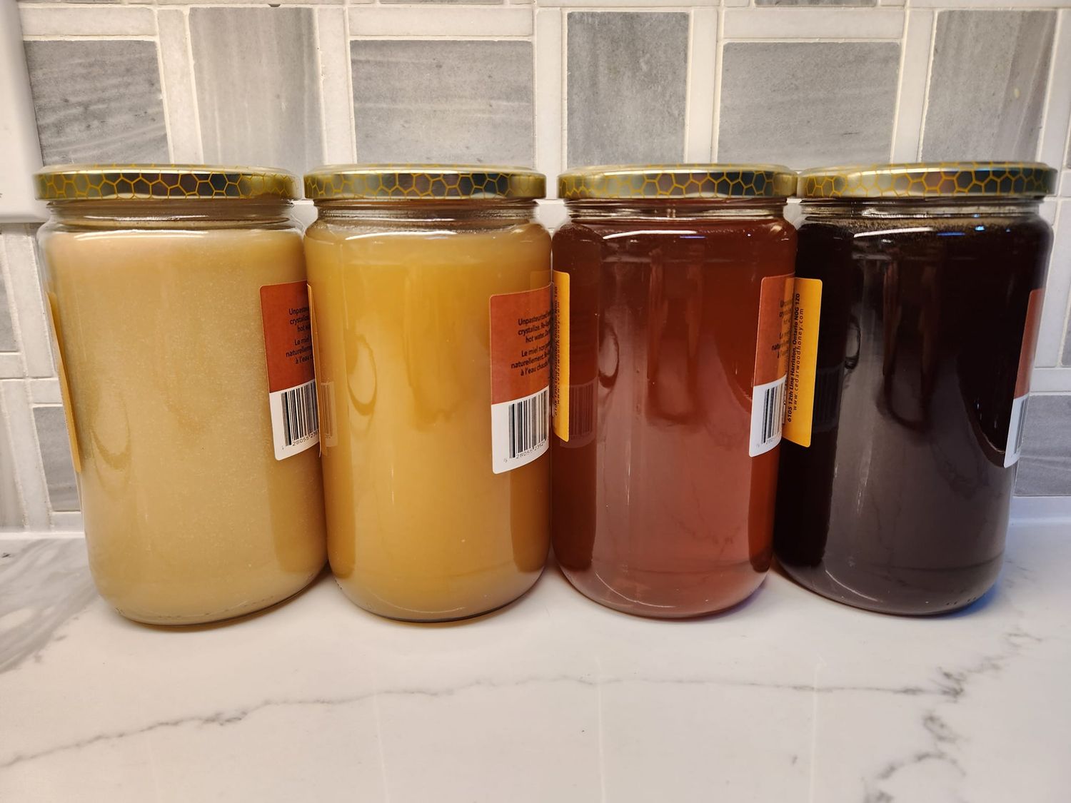 Honey 1kg (fresh, unpasteurized): wildflower, blueberry, raw, creamed