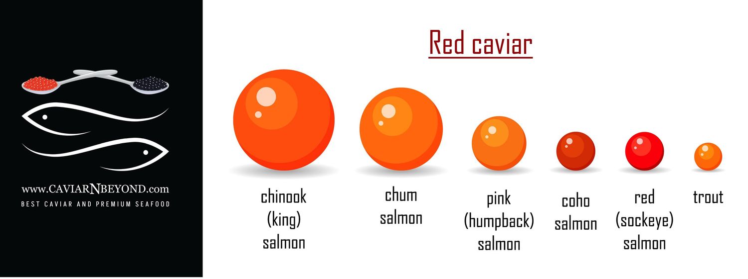 Caviar (red): KING/Spring Salmon Caviar (chavycha) 250gr : 2025 CATCH