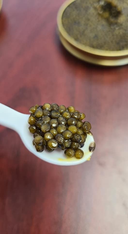 Caviar: Black Sturgeon Caviar (BLUE LABEL) - most popular, all sizes