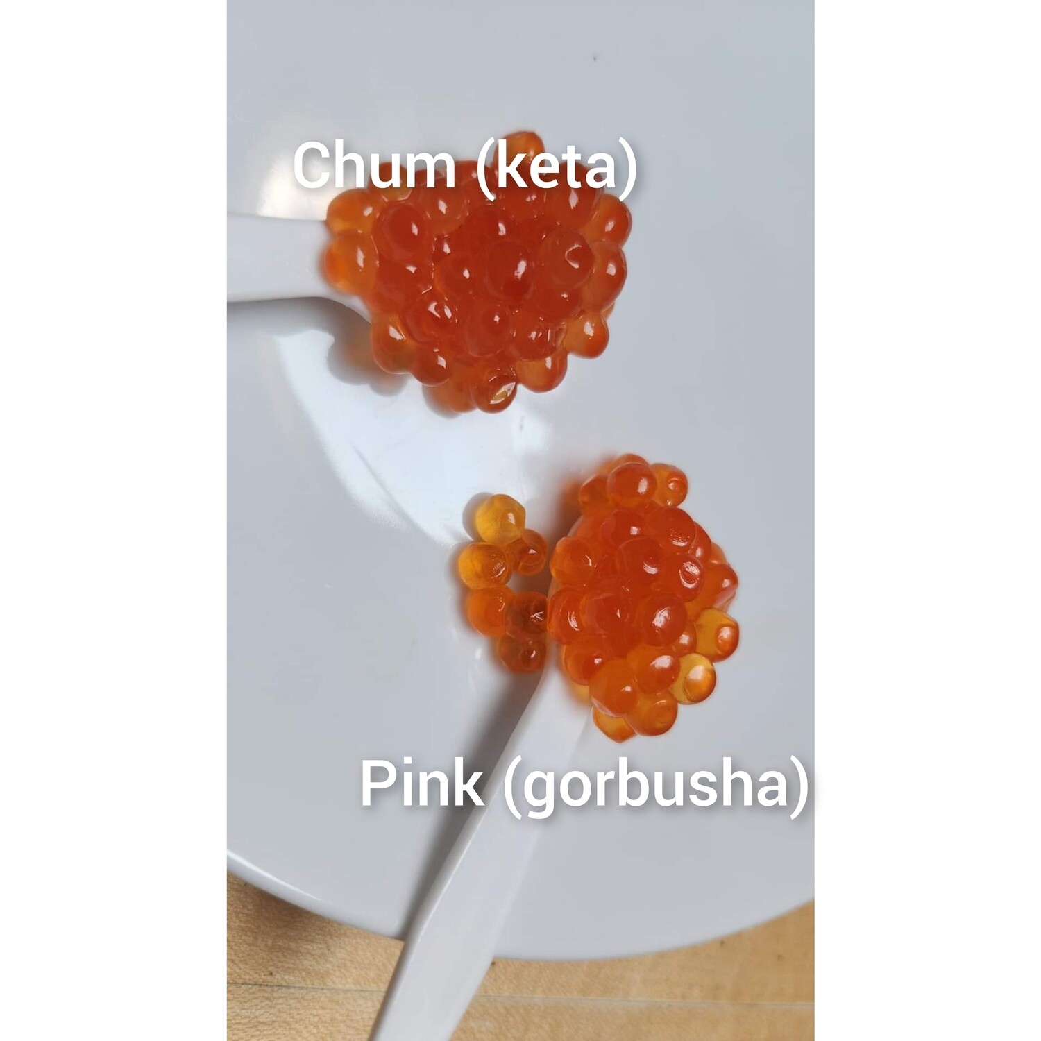 Caviar (red): CHUM (KETA) Salmon Caviar 500gr. LOW SALT. KOSHER. 2025 catch.