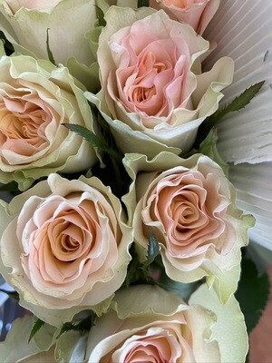 Box Of Roses- 50+CM