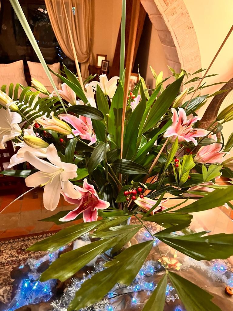 Oriental Lily- Black Tie Selection- Premium 100cm