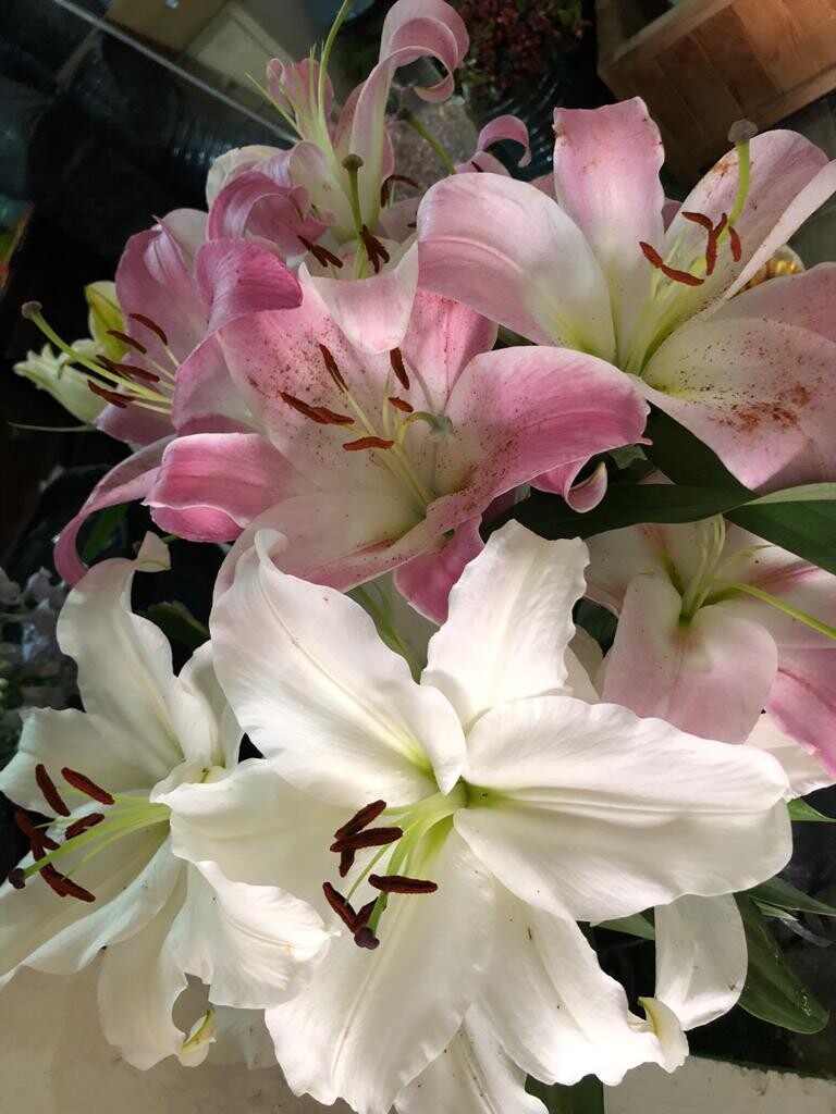 Lily & Me Bouquet
