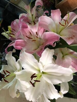 Lily & Me Bouquet