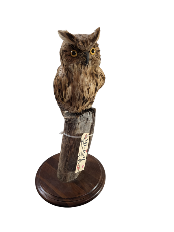 Small owl approximately 12 in tall. This is a faux faux not real owl made of pheasant feathers