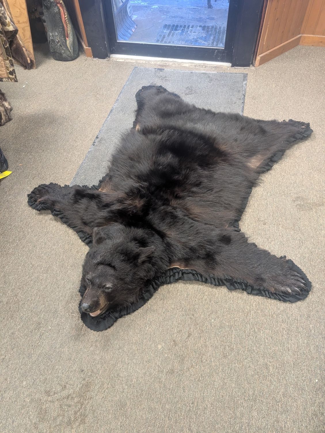 Black bear rug,  no drying, fresh, beautiful bear skin rug for the sportsman. Enhances any floor with a rich presentation. 