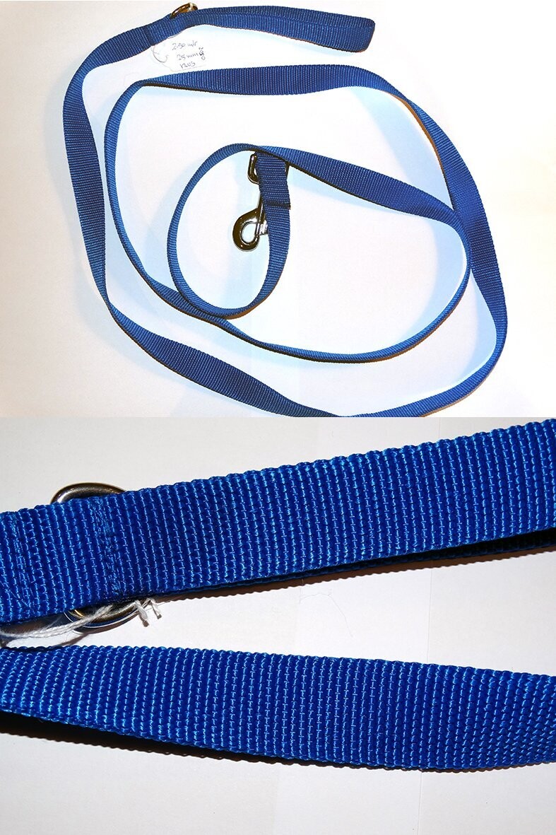 Platte hondenriem nylon 25 mm  250 cm lengte