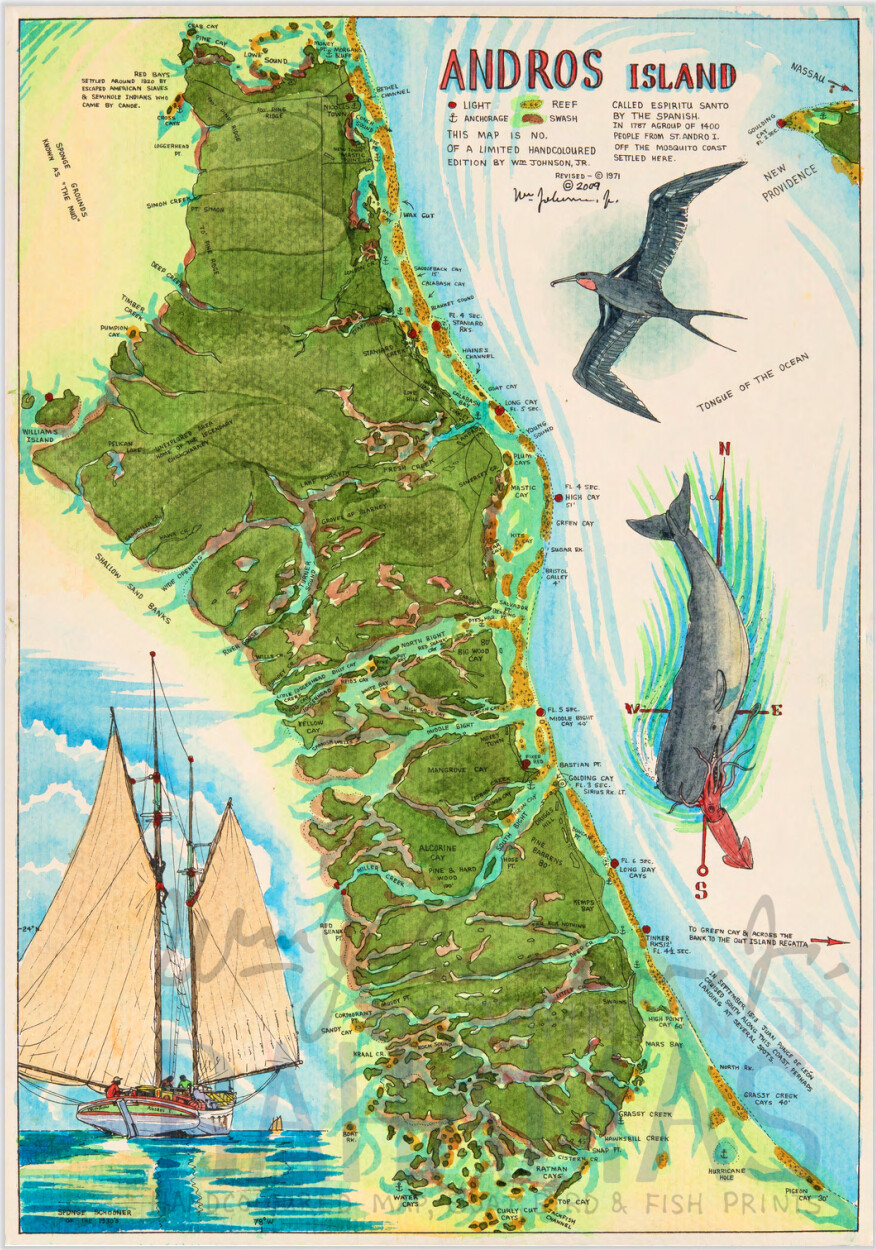 Andros Island Map
