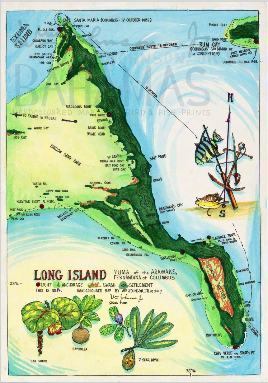 Long Island Map