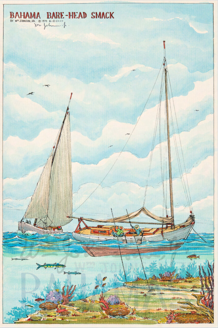 Bahama Bare-Head Smack