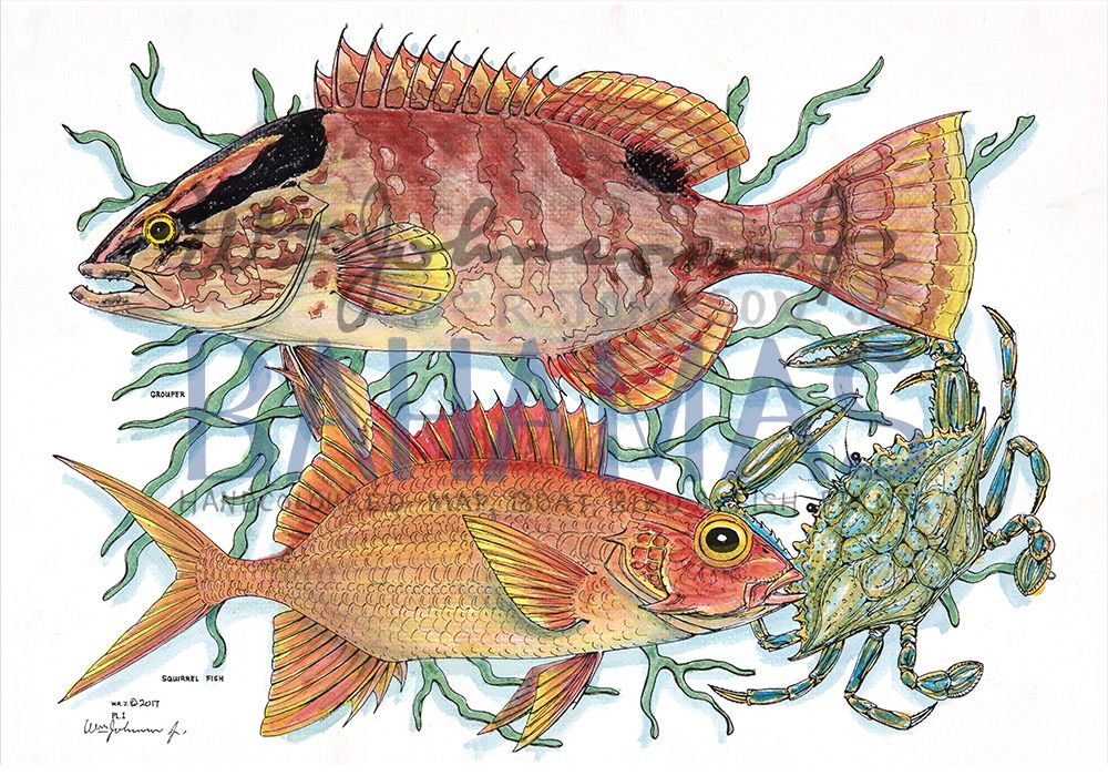Grouper and Squirrelfish
