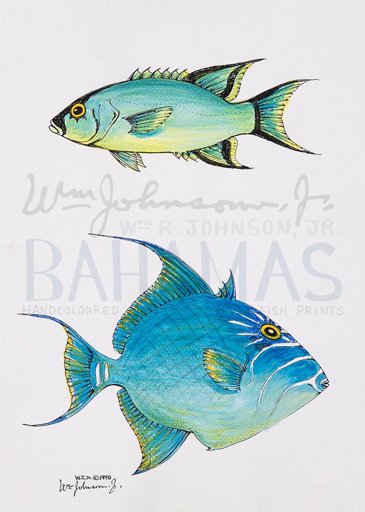 Two Fish