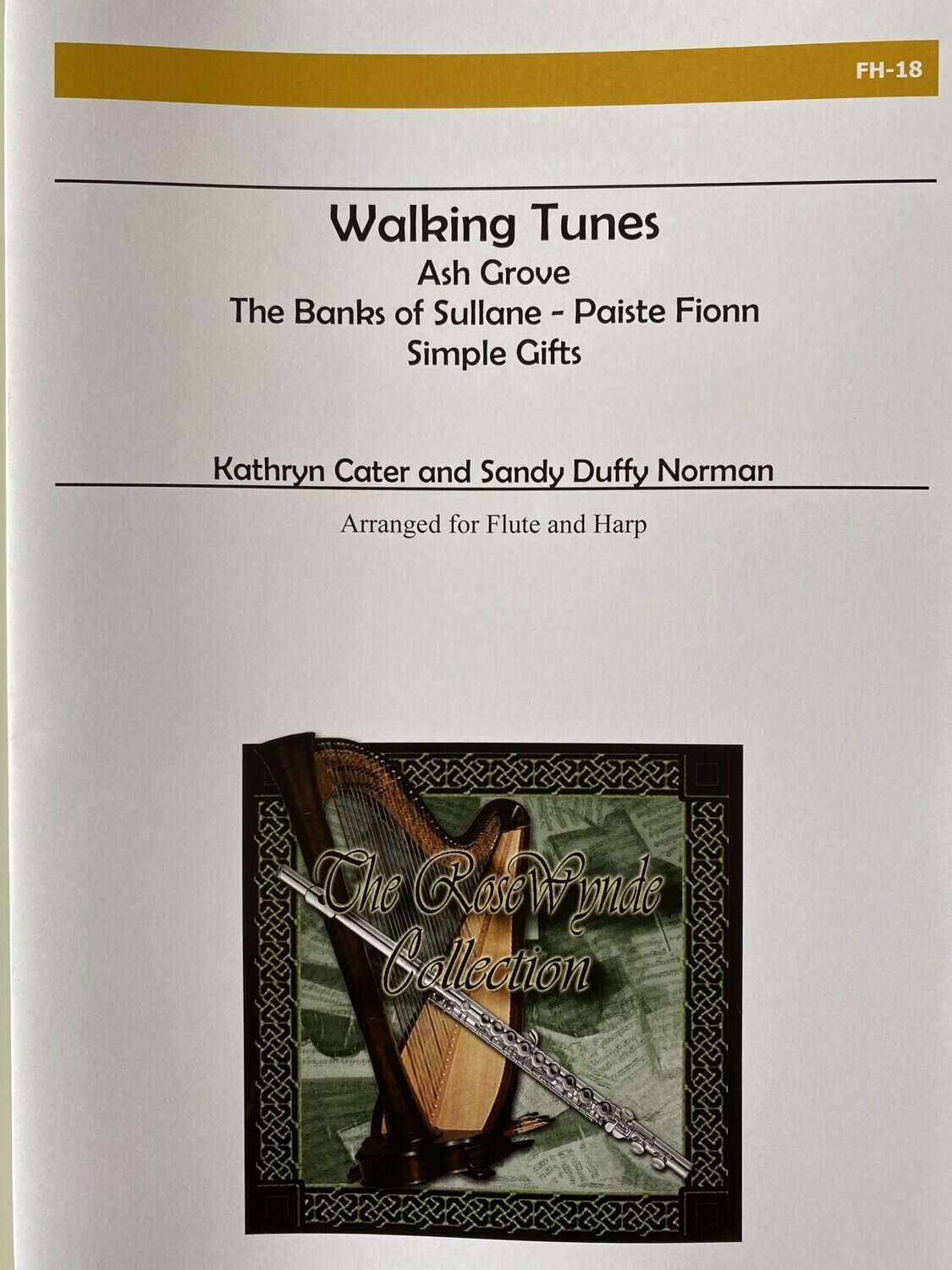 K. Cater & S.D. Norman - Walking Tunes