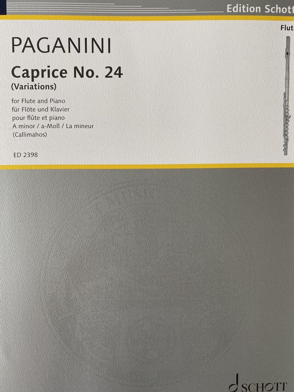 N. Paganini - Caprice No. 24 in a-moll (Variations)