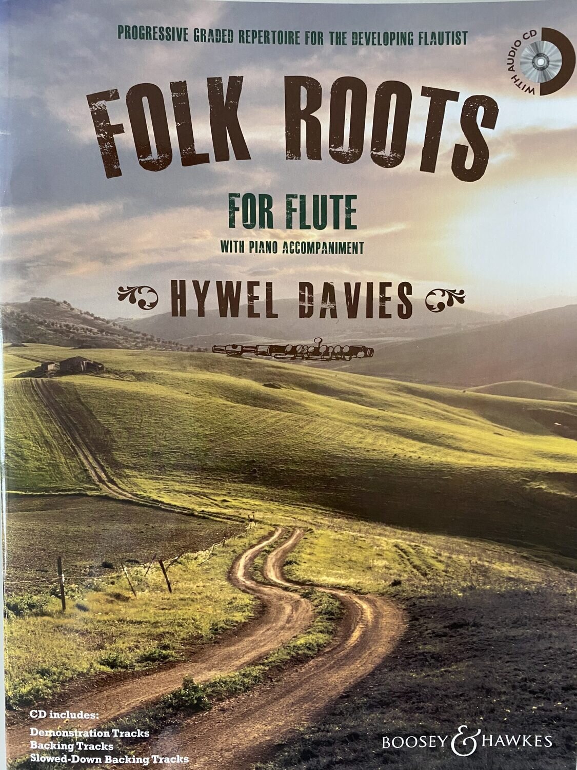 Hywel Davies - Folk Roots