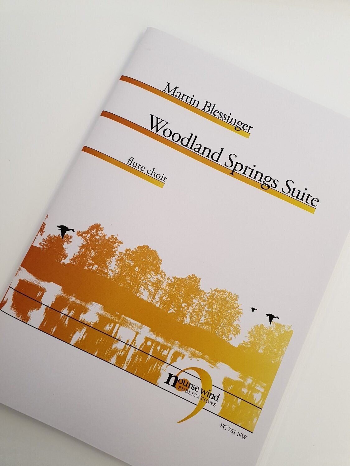 Martin Blessinger - Woodland Springs Suite