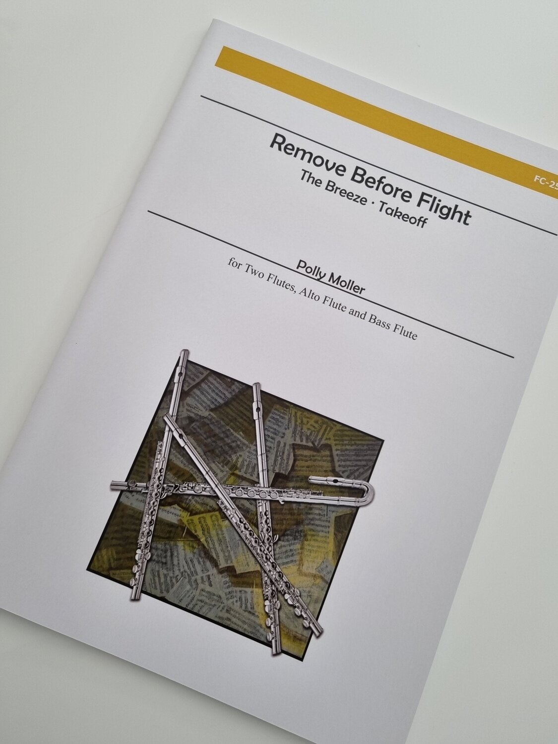 Polly Moller - Remove Before Flight