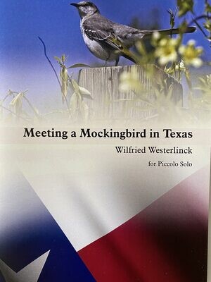 Wilfried Westerlinck - Meeting a Mockingbird in Texas