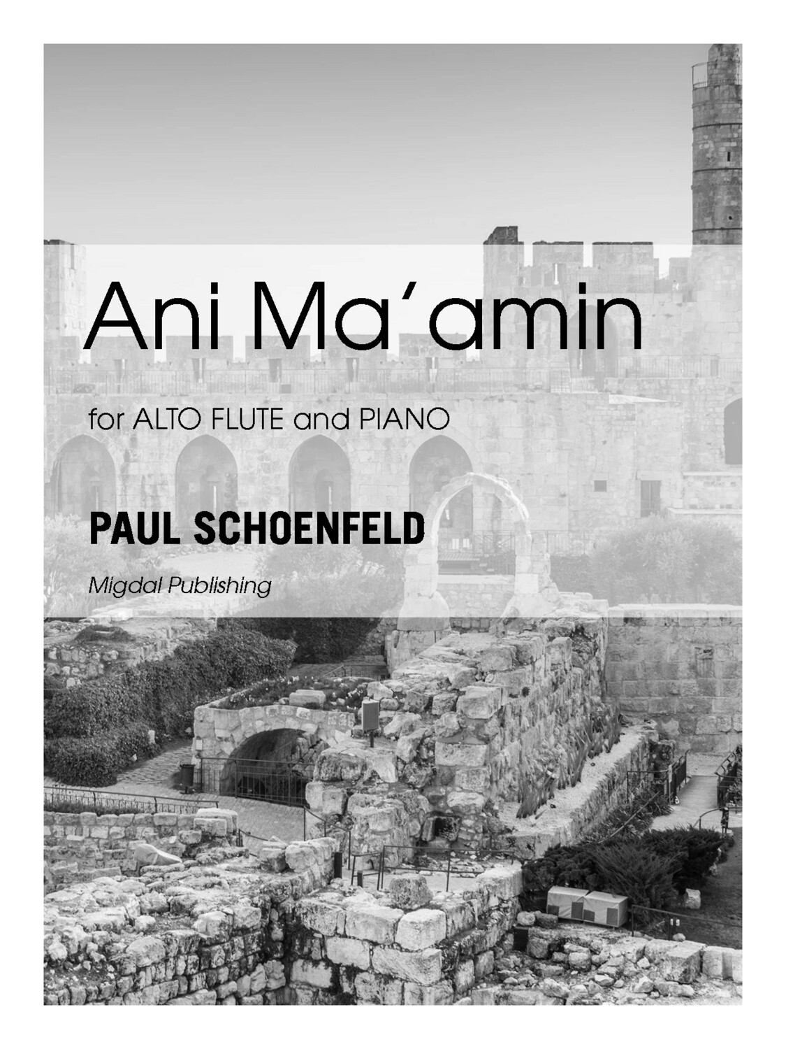 Paul Schoenfeld - Ani Ma'amin