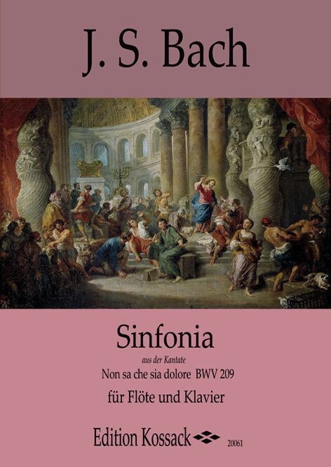 J.S. Bach - Sinfonia aus der Kantate "Non sa che sia dolore" BWV 209 - für Flöte und Klavier