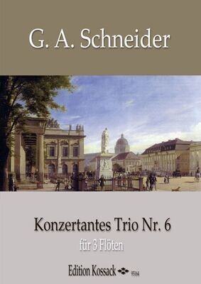 G.A. Schneider - Konzertantes Trio Nr. 6
