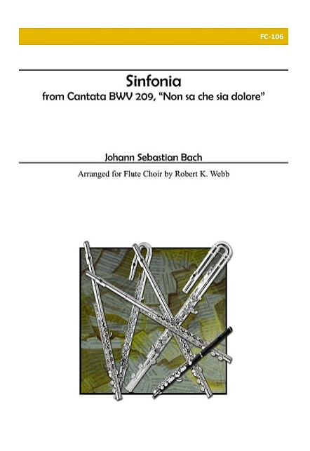 J.S. Bach - Sinfonia from Cantana BWV 209, "Non sa che sia dolore"